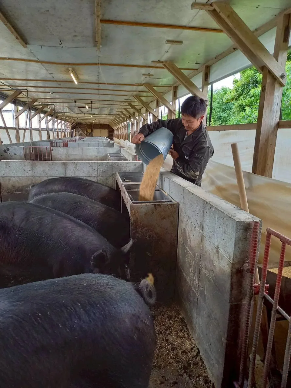 餌へのこだわり