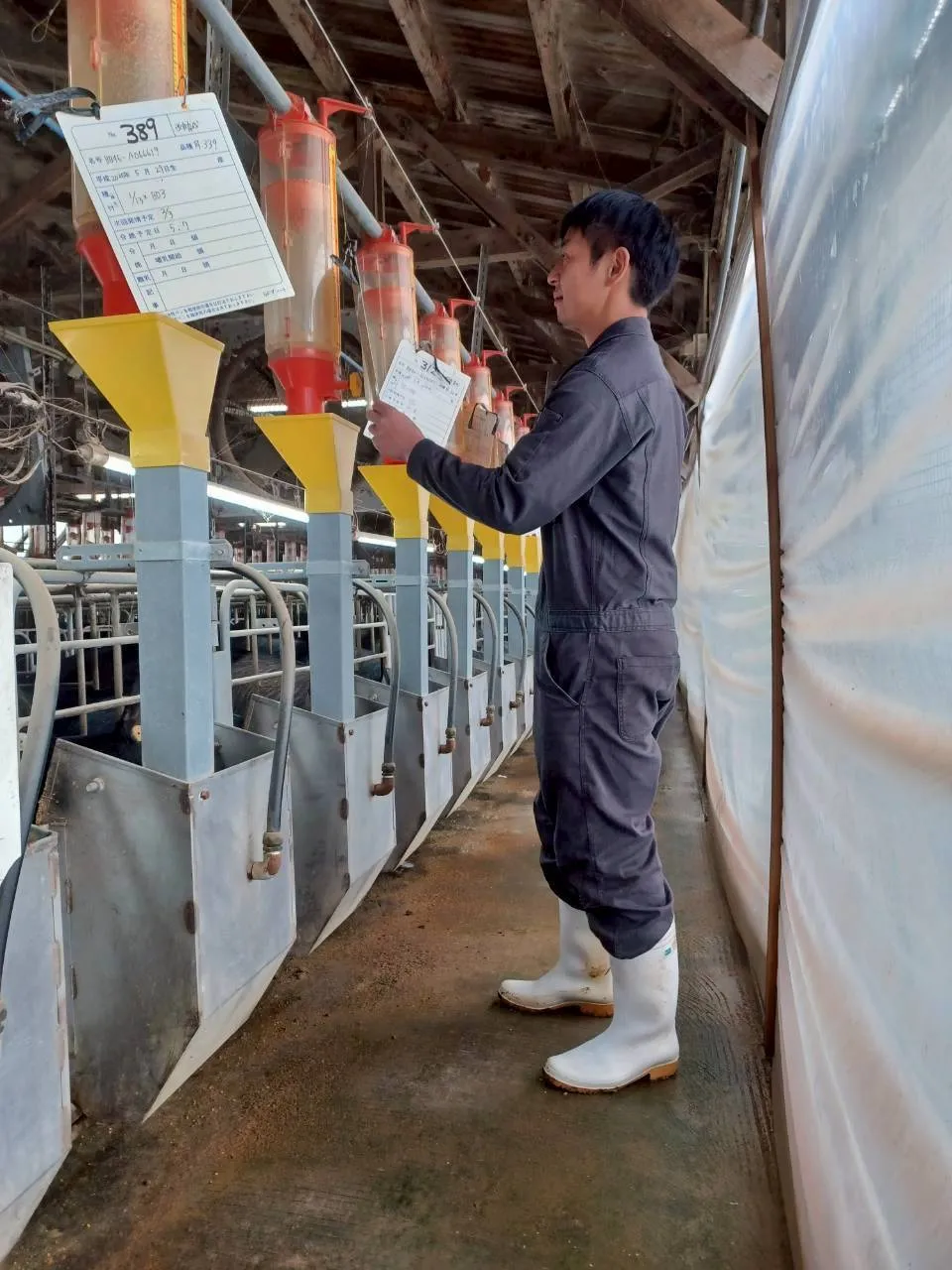 餌の準備・給餌