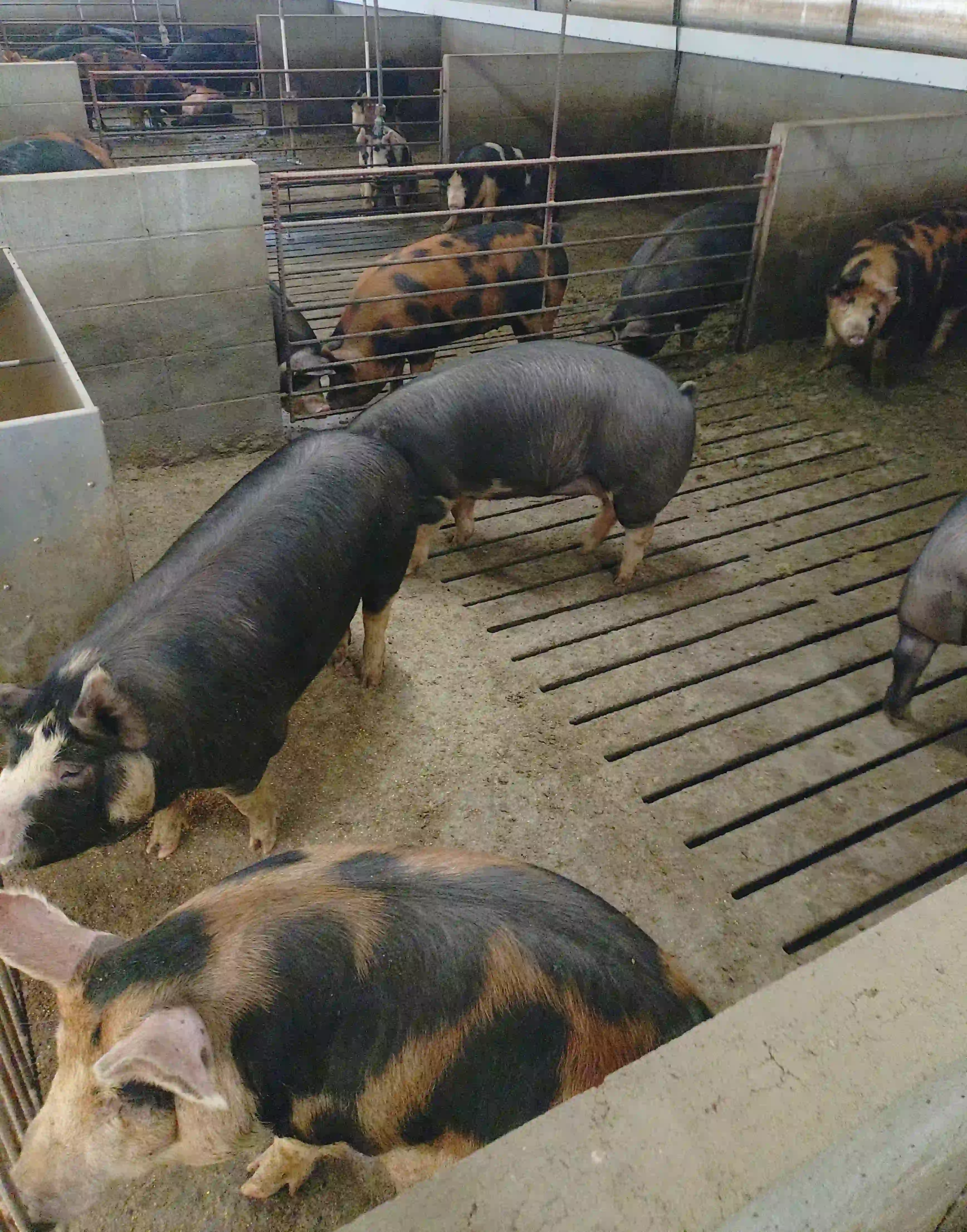 環境へのこだわり