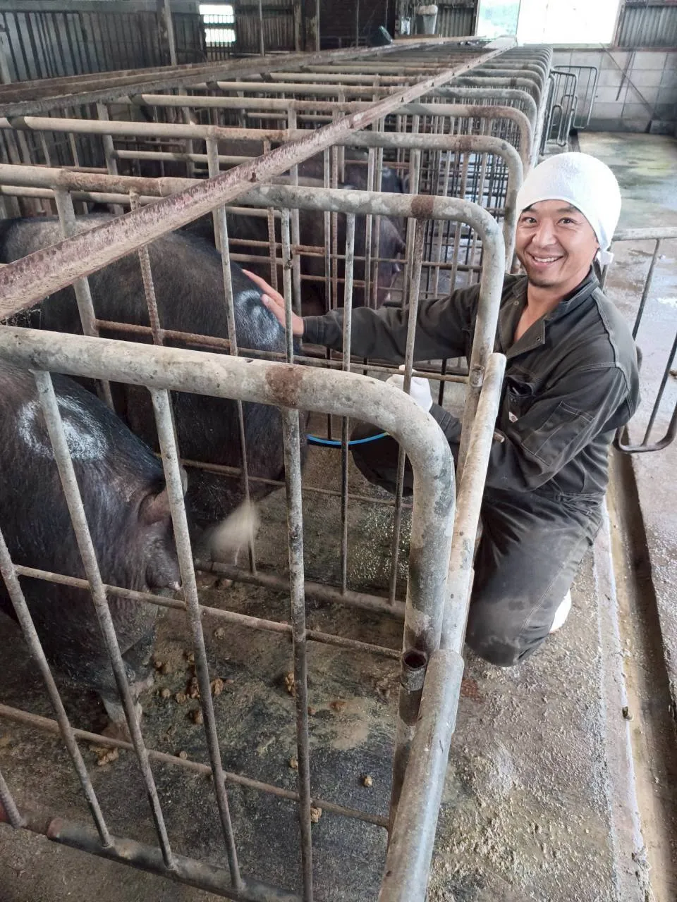 アオキ畜産で働く様子