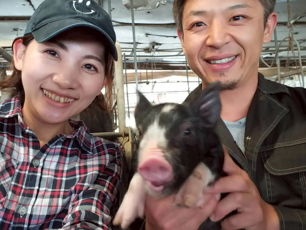 アオキ畜産で働く様子